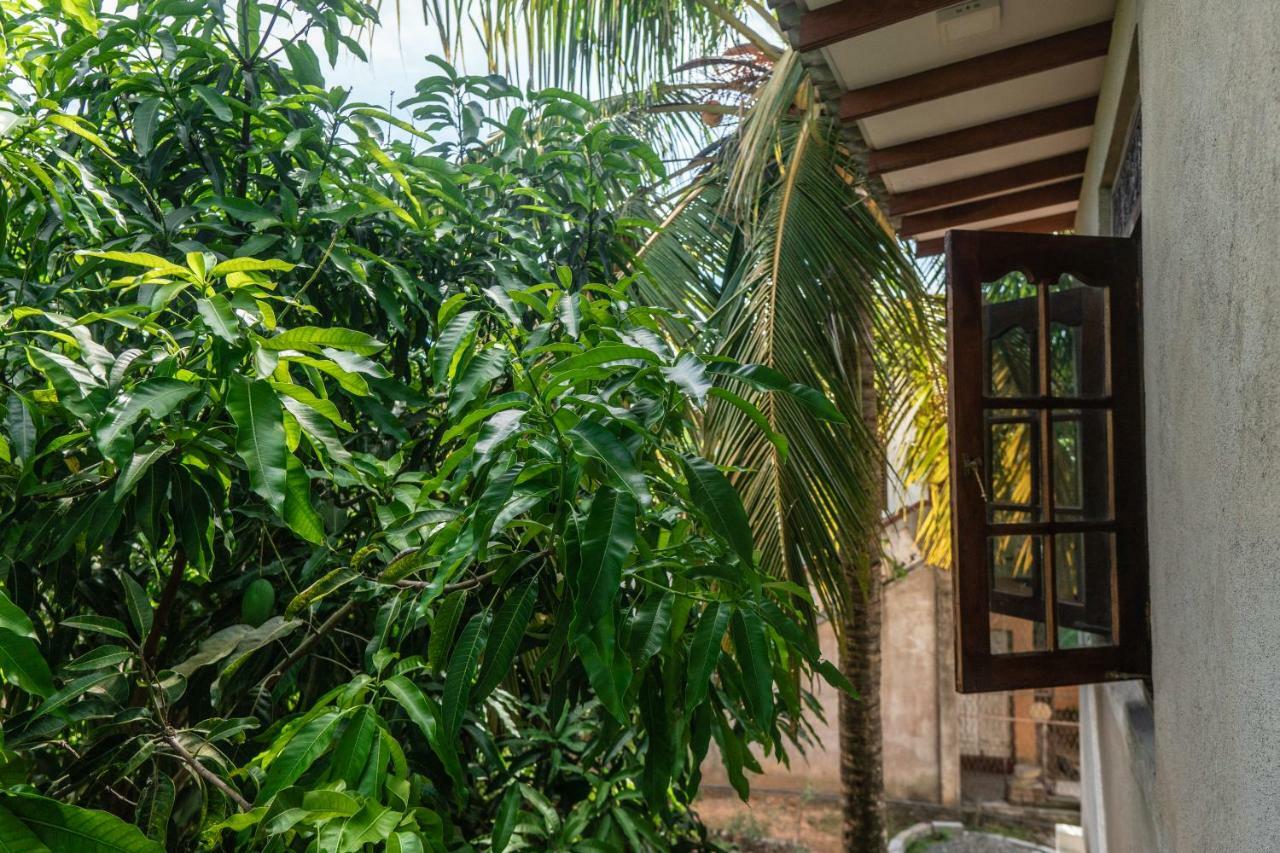 Mango Shade Weligama Apartment Ngoại thất bức ảnh